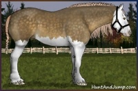 Horse Color:Chocolate Palomino Splash 