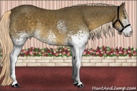 Horse Color:White Spotted Chocolate Palomino 