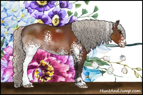 Horse Color:White Spotted Silver Brown Sabino 