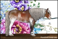 Horse Color:White Spotted Silver Brown Sabino 