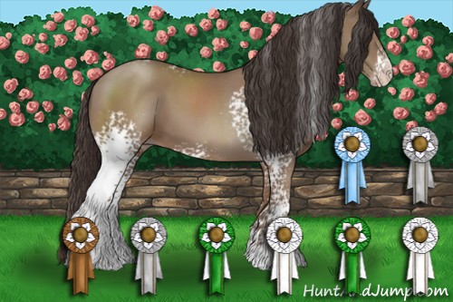 Horse Color:White Spotted Classic Champagne Sabino 