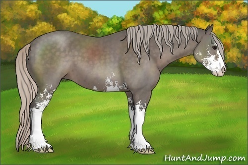 Horse Color:Silver Black Sabino 