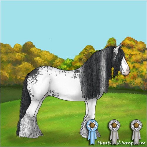 Horse Color:White Spotted Black 