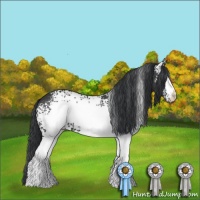 Horse Color:White Spotted Black