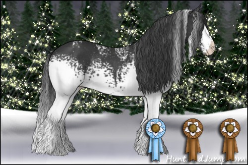 Horse Color:White Spotted Black Rabicano