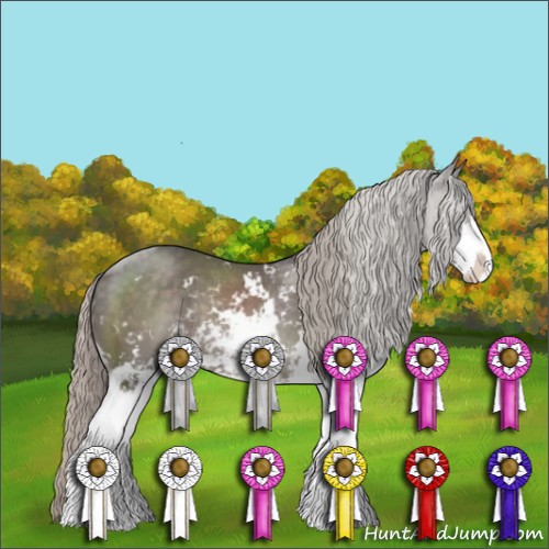 Horse Color:Silver Black Sabino Rabicano