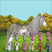 Horse Color:Silver Black Sabino Rabicano 