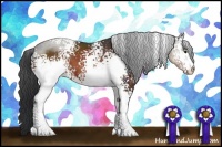 Horse Color:White Spotted Brown 