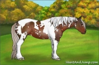 Horse Color:White Spotted Silver Brown Tobiano 