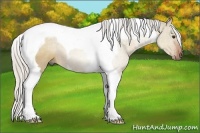 Horse Color:Silver Brown Dun Tobiano