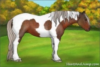 Horse Color:Silver Brown Tobiano 