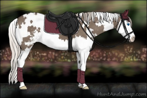 Horse Color:White Spotted Silver Grullo Sabino Splash