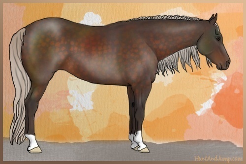 Horse Color:Silver Brown
