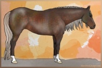 Horse Color:Silver Brown 