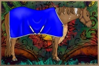 Horse Color:White Spotted Chestnut 