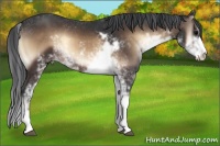 Horse Color:Brown Onyx Sabino