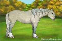 Horse Color:Watercolor Silver Bay Dun