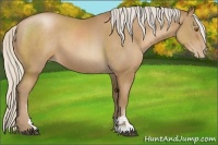 Horse Color:Silver Black Pearl Sabino