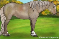 Horse Color:Silver Grullo Sabino 
