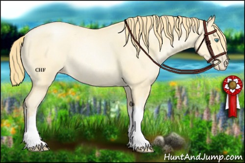 Horse Color:Buckskin Roan Pearl  and Buckskin Roan Pearl Rabicano 