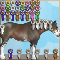 Horse Color:Gray Silver Black Sabino 