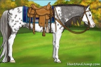 Horse Color:Smoky Blue Roan Splash Near Leopard