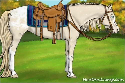 Horse Color:Smoky Creme Appaloosa