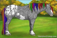 Horse Color:Painted Black Ice Frame Appaloosa 