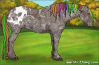 Horse Color:Painted Liver Chestnut Ice Appaloosa 
