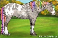 Horse Color:Painted Gold Champagne Ice Roan Dun Splash Blanket 