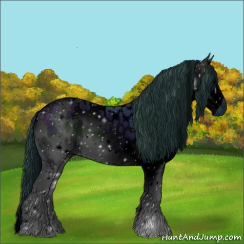 Horse Color:ERROR: UNKNOWN ANOMALY