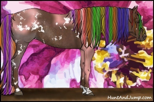 Horse Color:Painted White Spotted Liver Chestnut Rabicano 