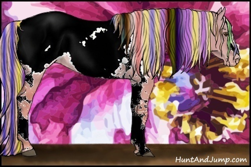 Horse Color:Painted Palomino Dun Tobiano Appaloosa Rabicano 