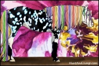 Horse Color:Painted Amber Cream Champagne Pearl Dun Tobiano Appaloosa Rabicano 