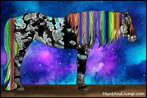 Horse Color:Gray Painted White Spotted Liver Red Dun Splash Appaloosa Rabicano 