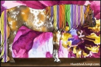 Horse Color:Painted White Spotted Liver Chestnut Rabicano 