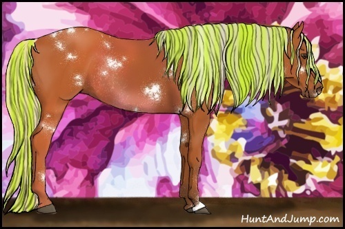 Horse Color:Painted White Spotted Silver Bay Rabicano