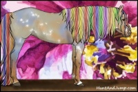 Horse Color:Painted White Spotted Red Dun Rabicano 