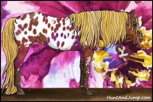Horse Color:Painted White Spotted Silver Bay Near Leopard Rabicano