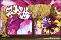 Horse Color:Painted White Spotted Silver Bay Near Leopard Rabicano 
