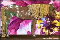 Horse Color:Painted White Spotted Chestnut Rabicano 