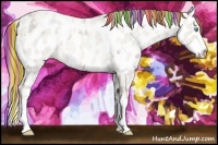 Horse Color:Painted Gold Champagne Ice Roan Dun Splash Appaloosa Rabicano