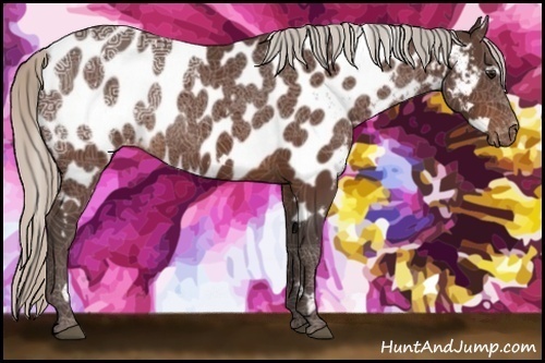 Horse Color:White Spotted Silver Bay Ice Appaloosa Rabicano 