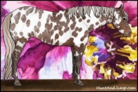 Horse Color:White Spotted Silver Bay Ice Appaloosa Rabicano 