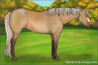 Horse Color:Silver Brown Dun