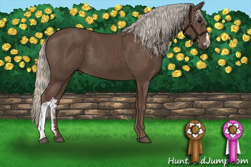 Horse Color:Silver Black 