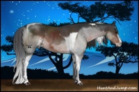 Horse Color:Brown Sabino Tobiano Rabicano