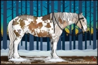 Horse Color:White Spotted Silver Buckskin Sabino