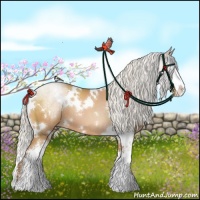 Horse Color:White Spotted Silver Brown Pearl Sabino