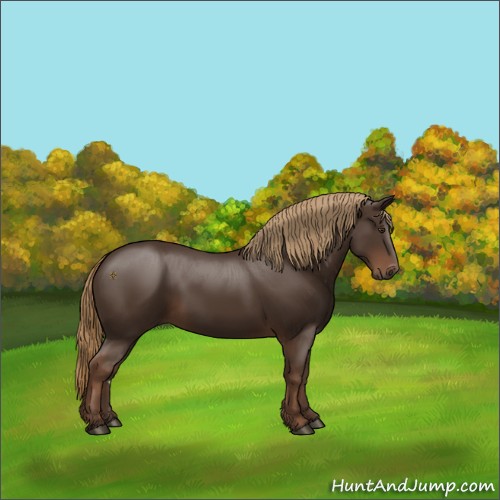 Horse Color:Liver Chestnut